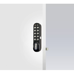 Image of 1000 BK